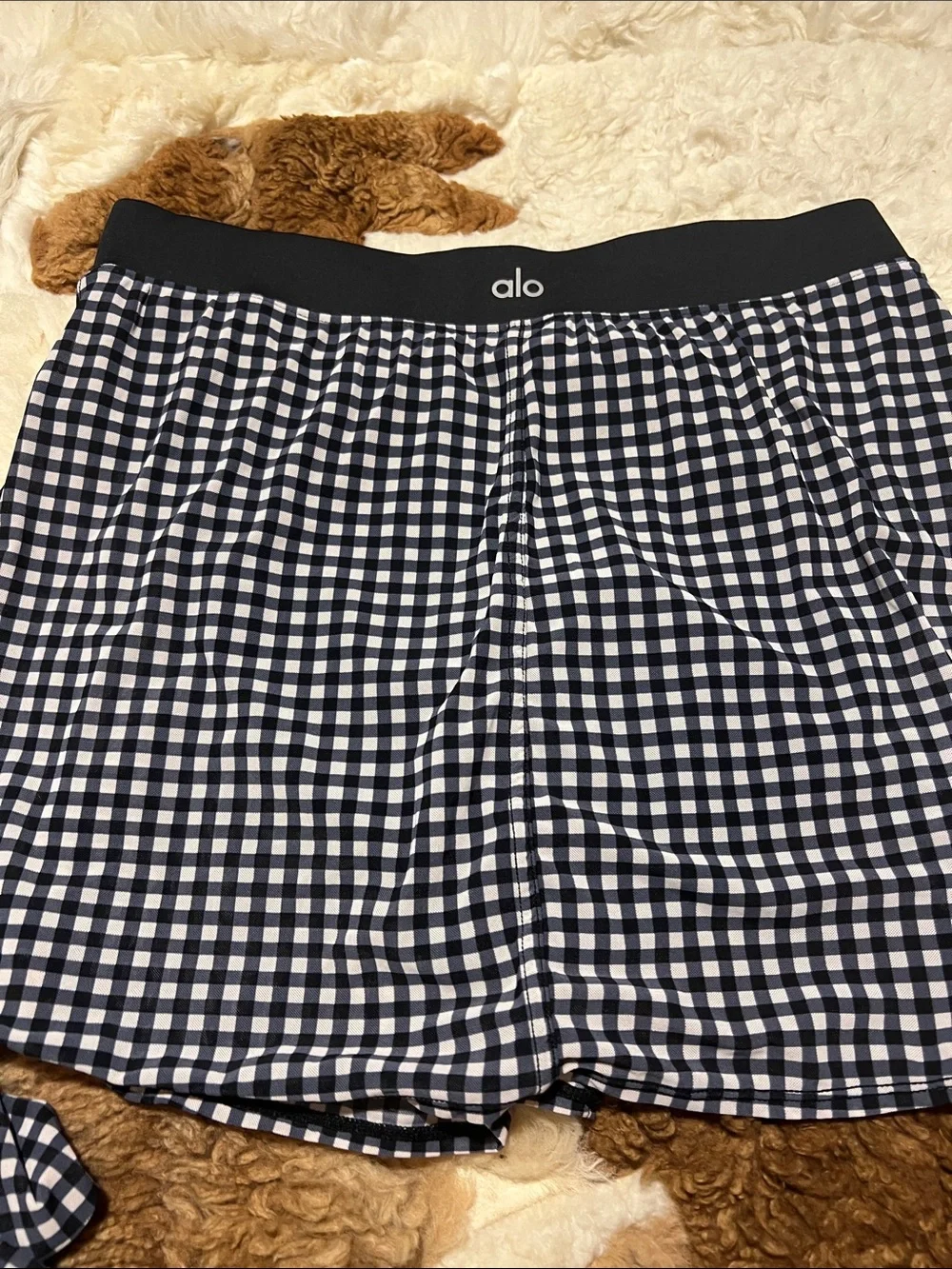 NWOT ALO MESH GINGHAM CROPPED LONG SLEEVE & MESH GINGHAM SKIRT (SET)